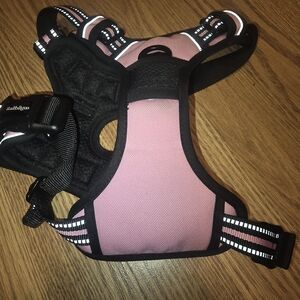 Rabbitgoo Rose Dog Harness